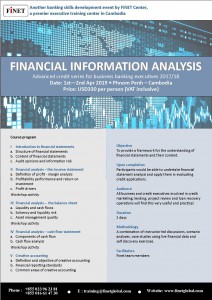 Financial Information Analysis